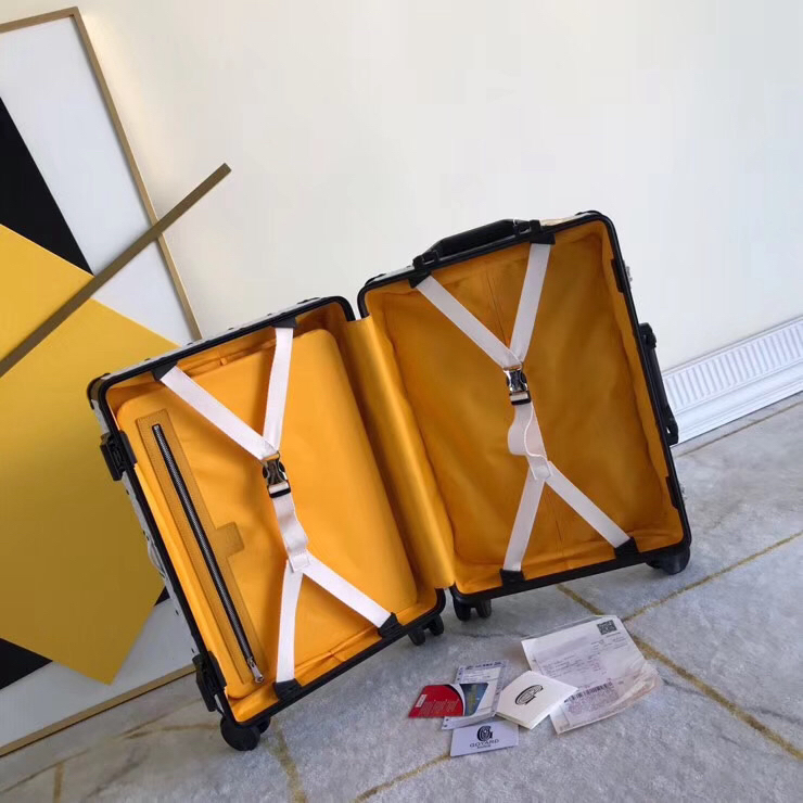 Goyard luggage-51