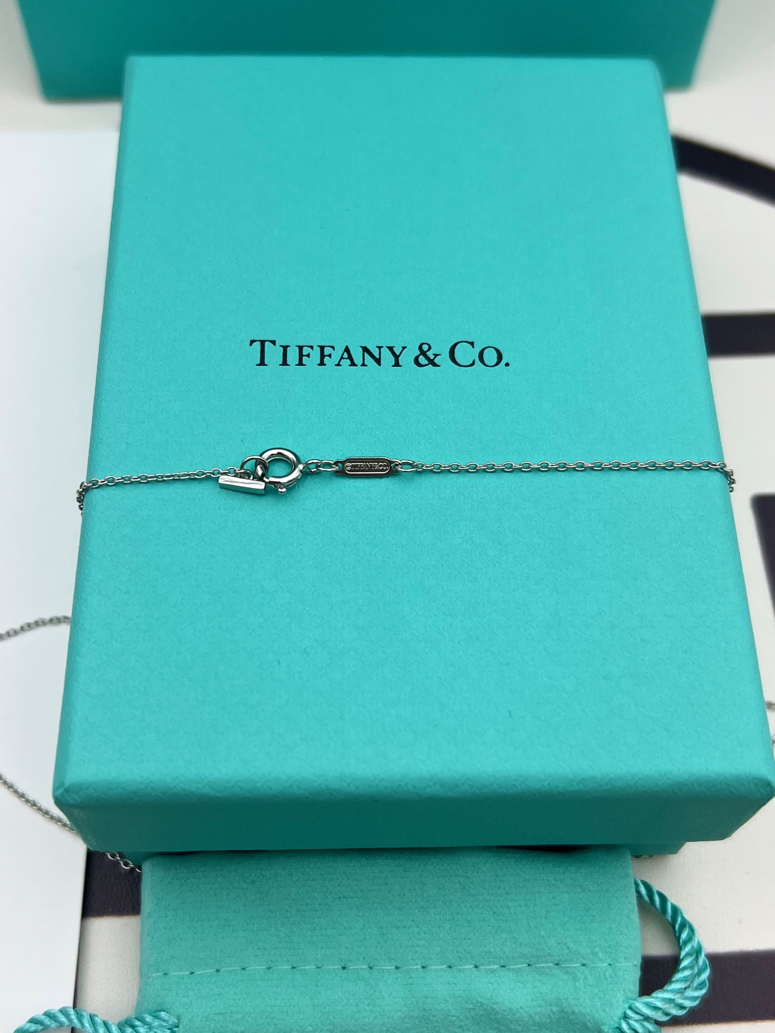 tiffany necklace-92