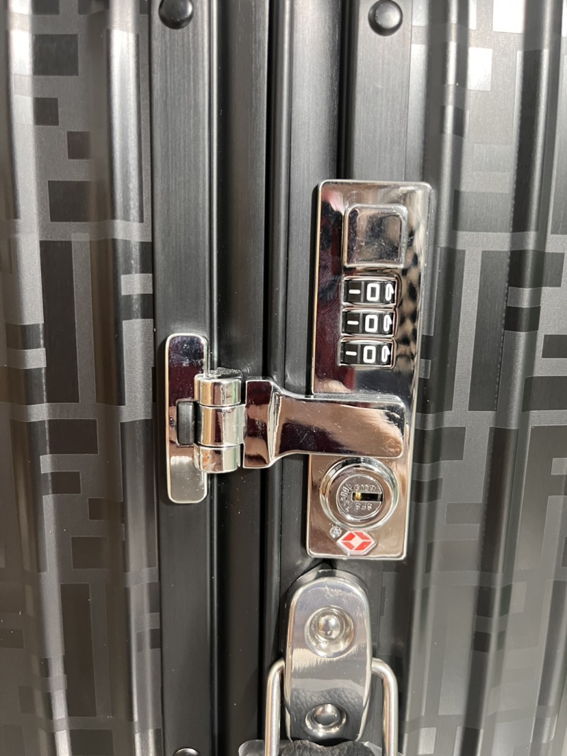 Fendi luggage-34