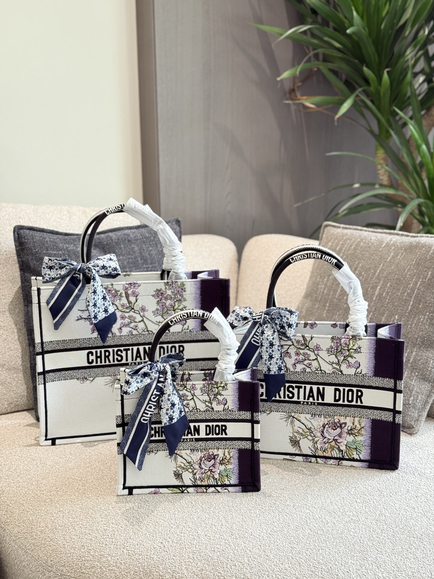 Dior Hot New Product-30