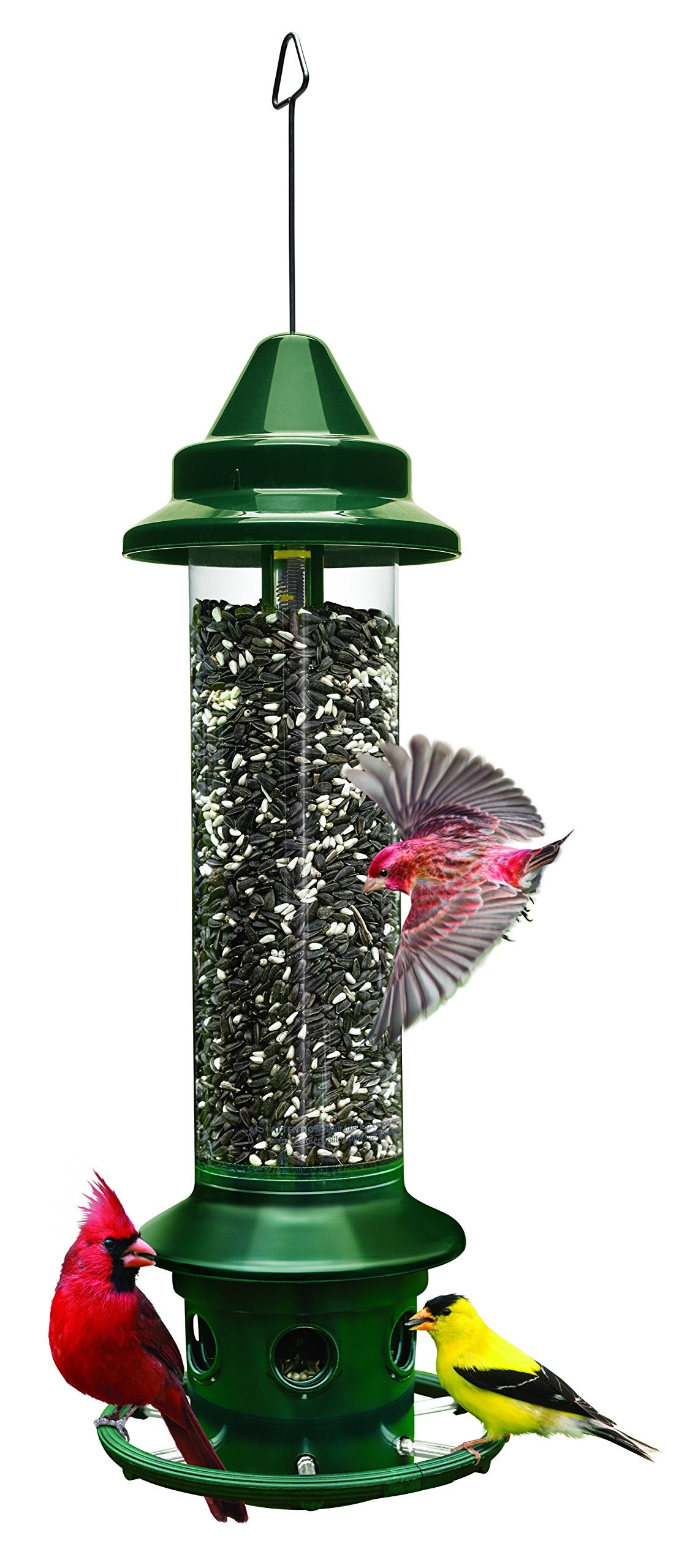 BROME Squirrel Buster Plus Bird Feeder with Cardinal Ring
