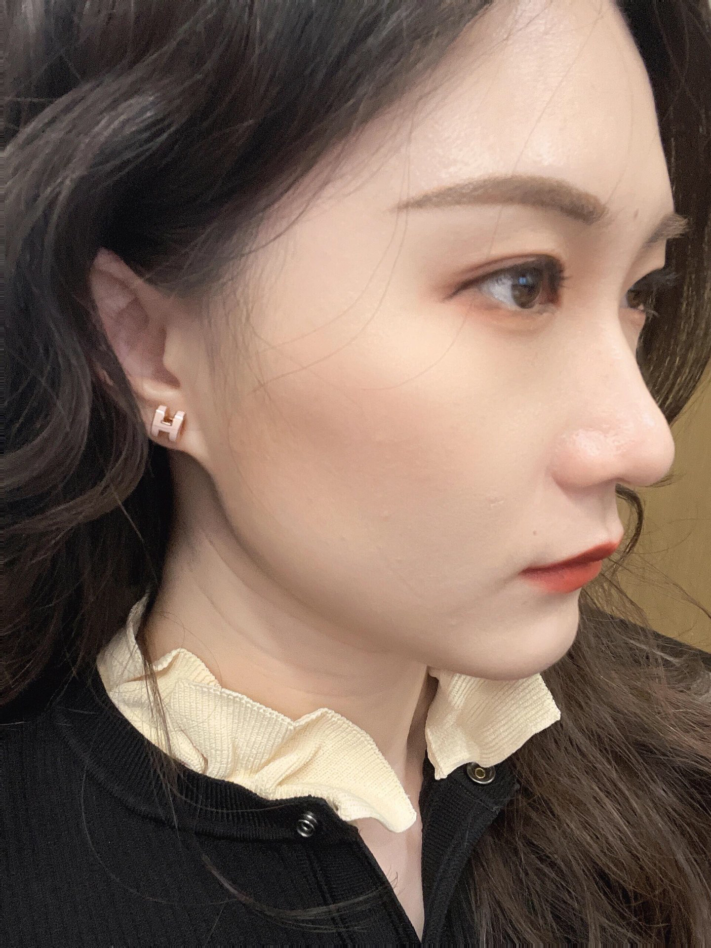 Hermes earrings-58
