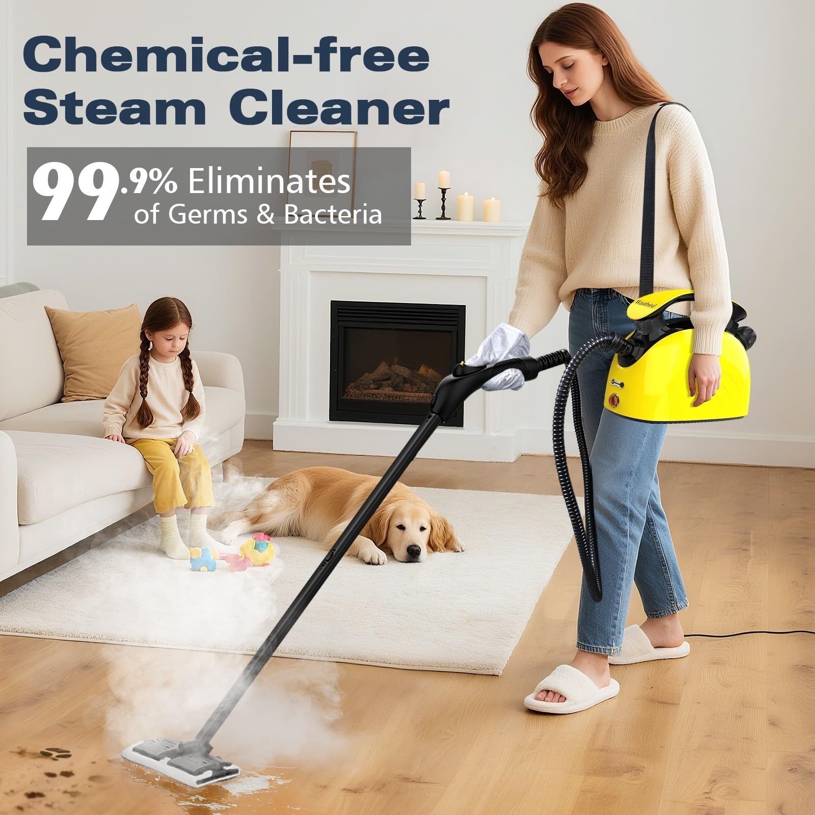 WAITBIRD Handheld Steam Cleaner with 21 Accessories, 248°F