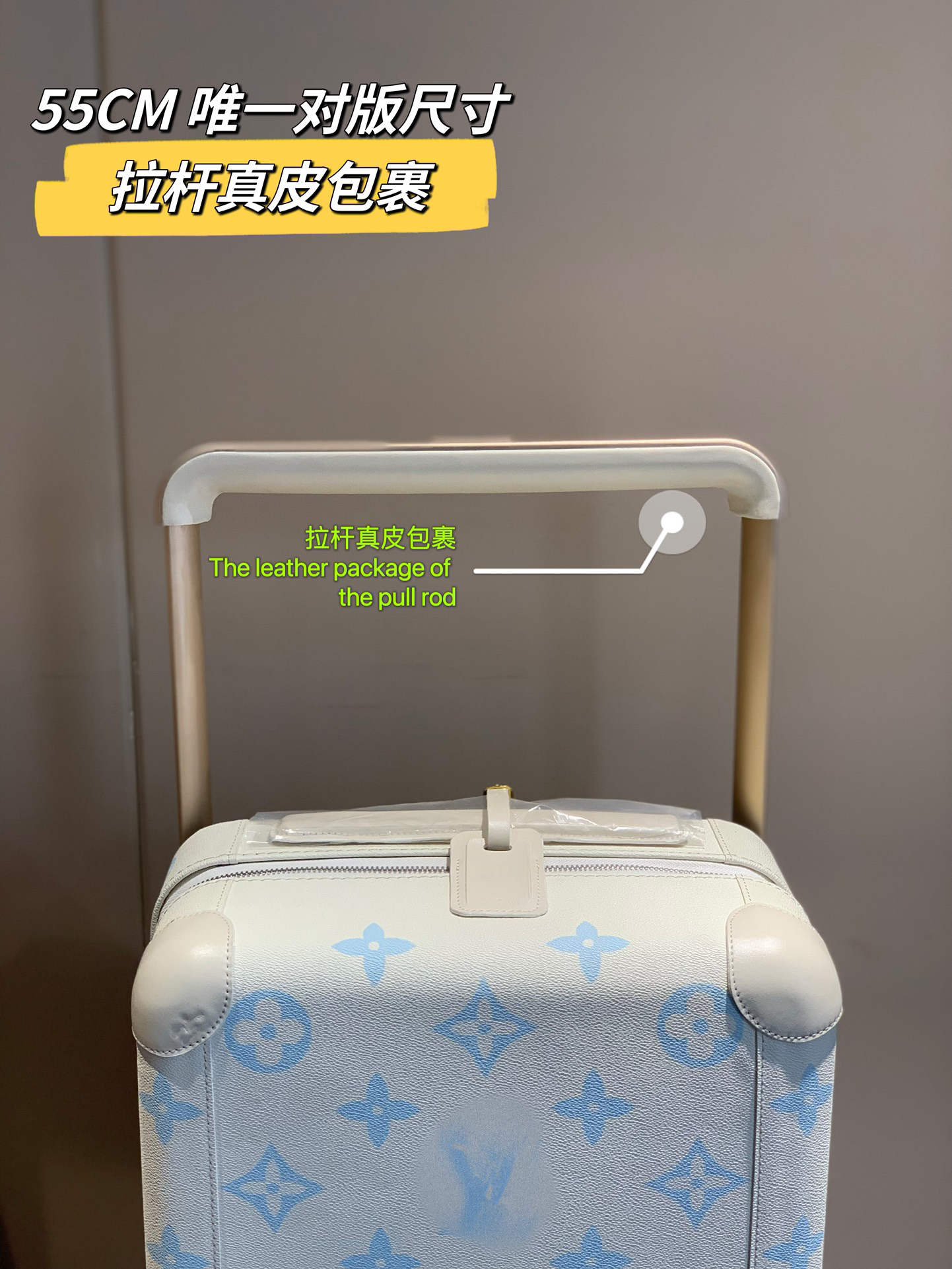 LV luggage-54