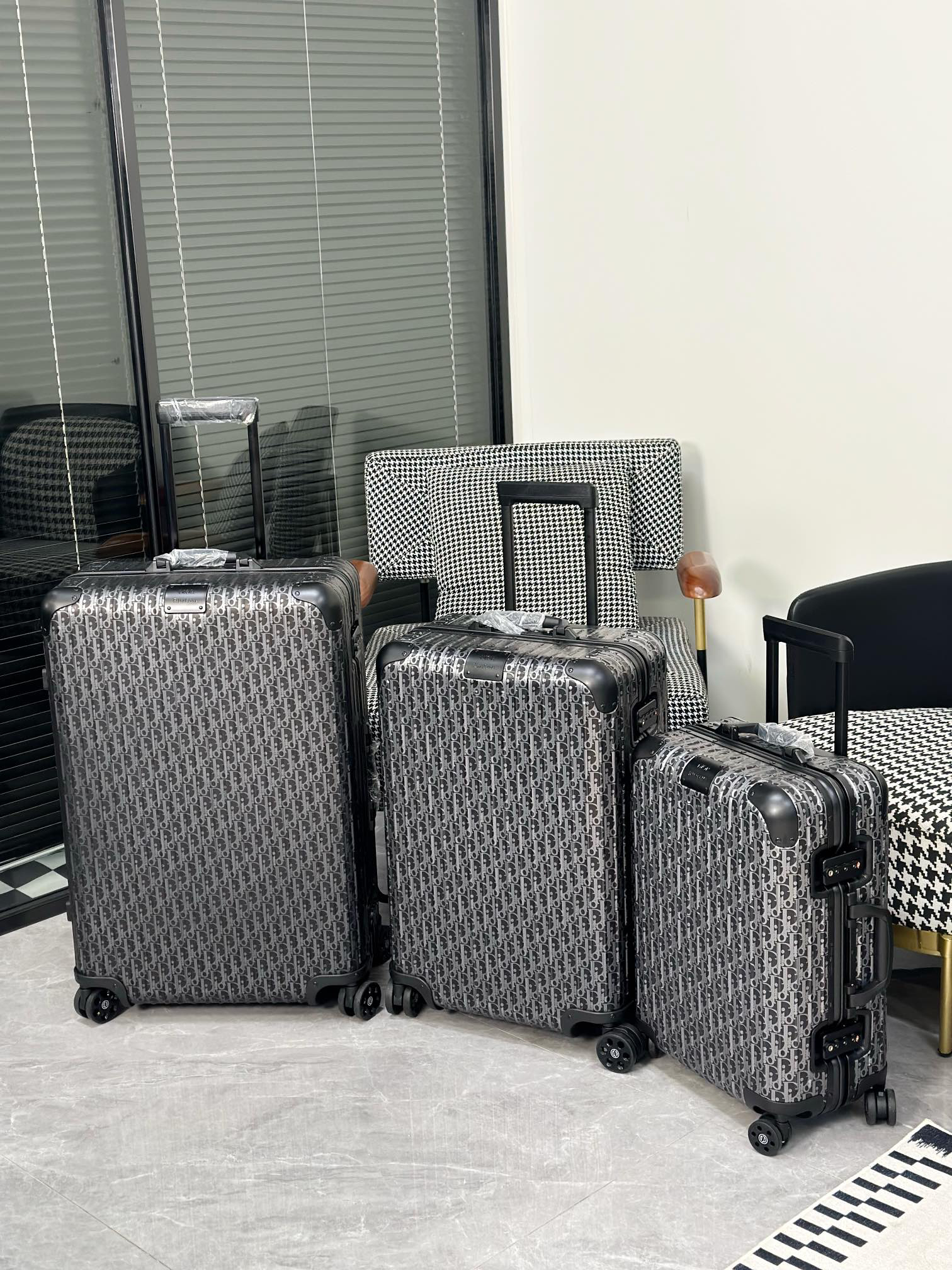 Dior luggage-22