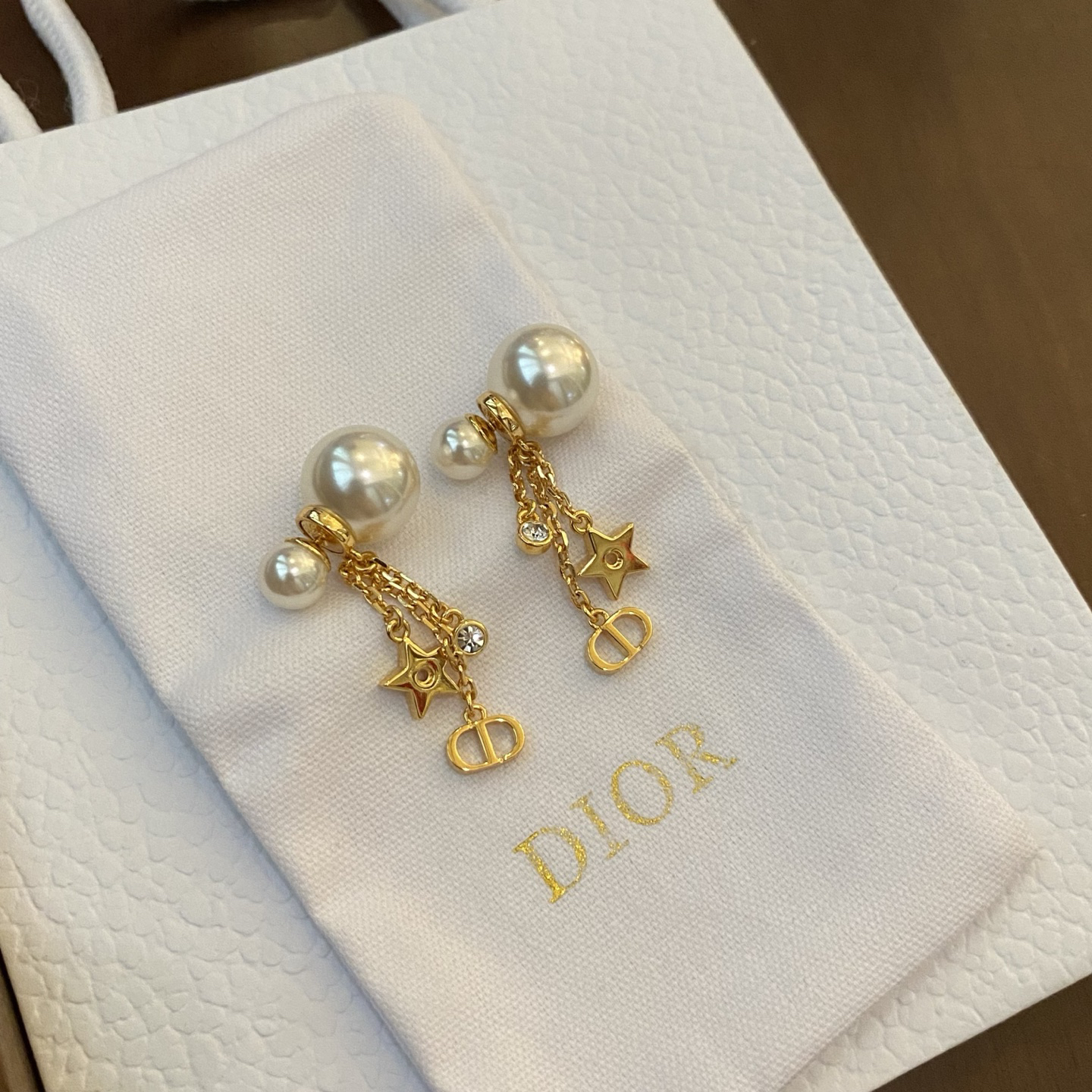 Dior earrings-72