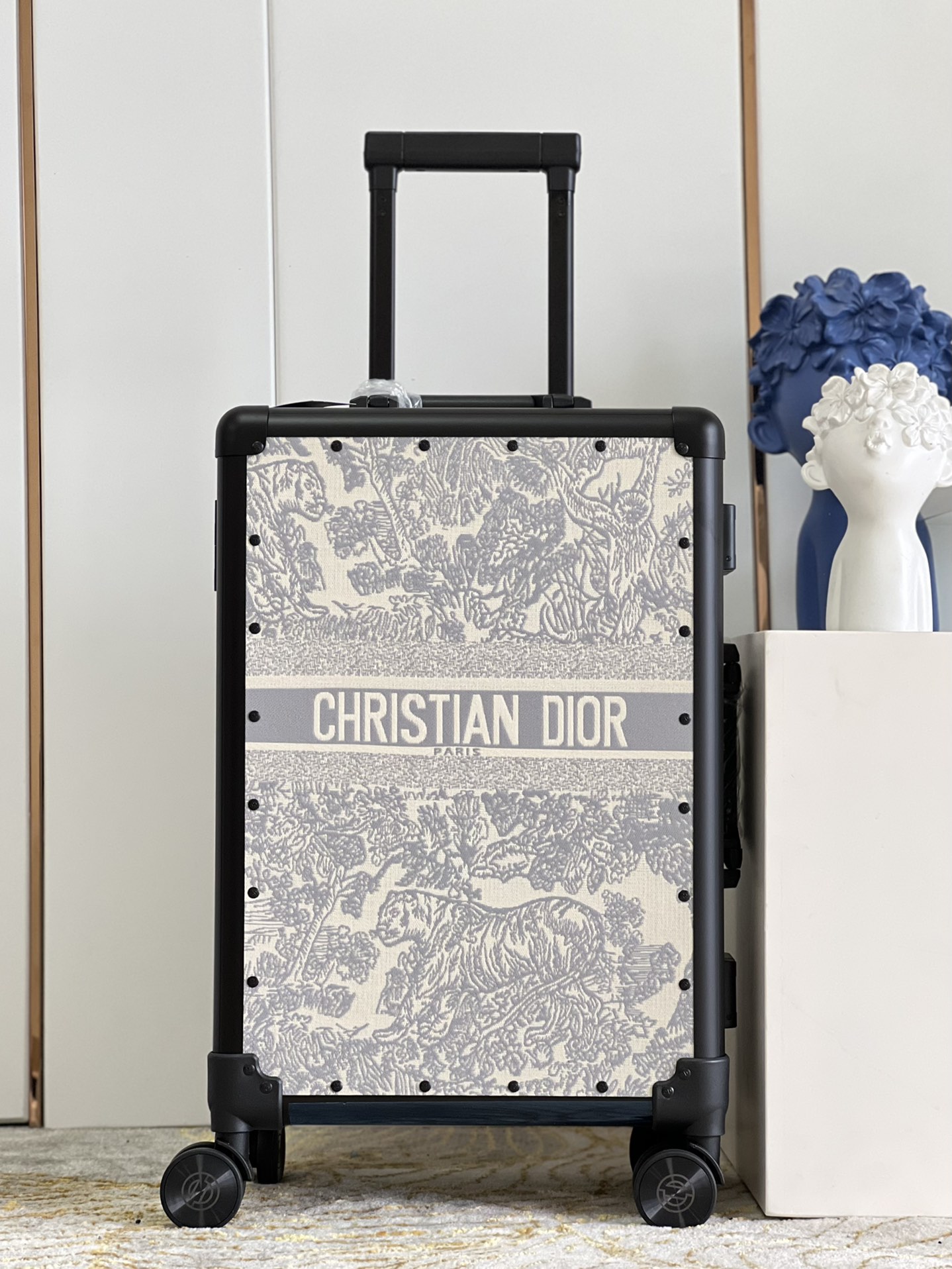 Dior luggage-27