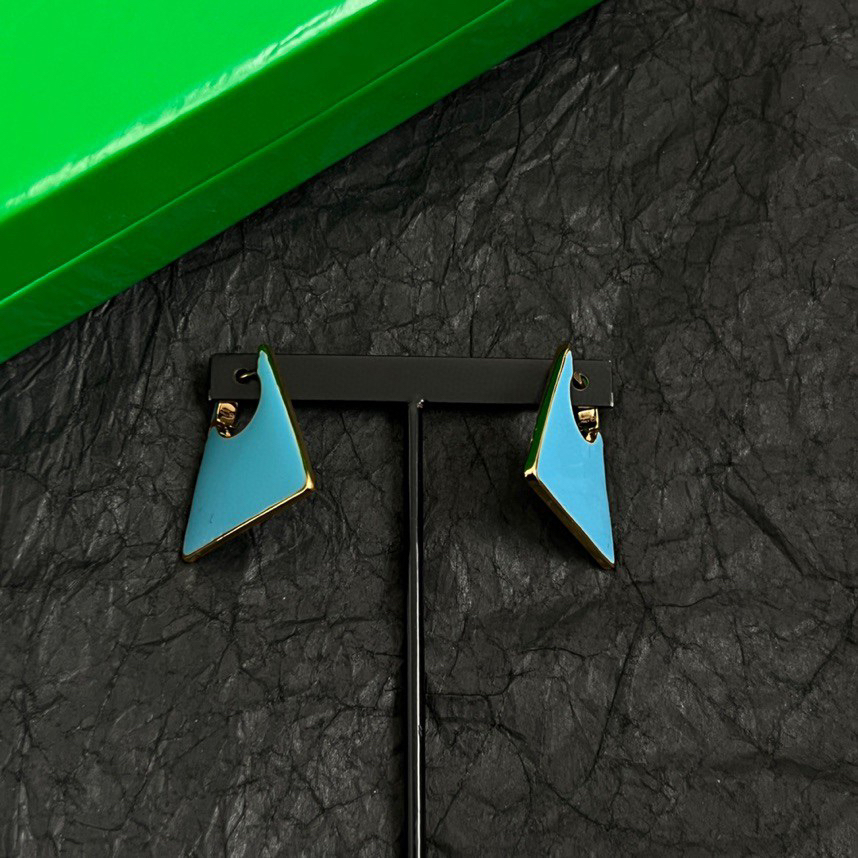 Bottega Veneta earrings-62