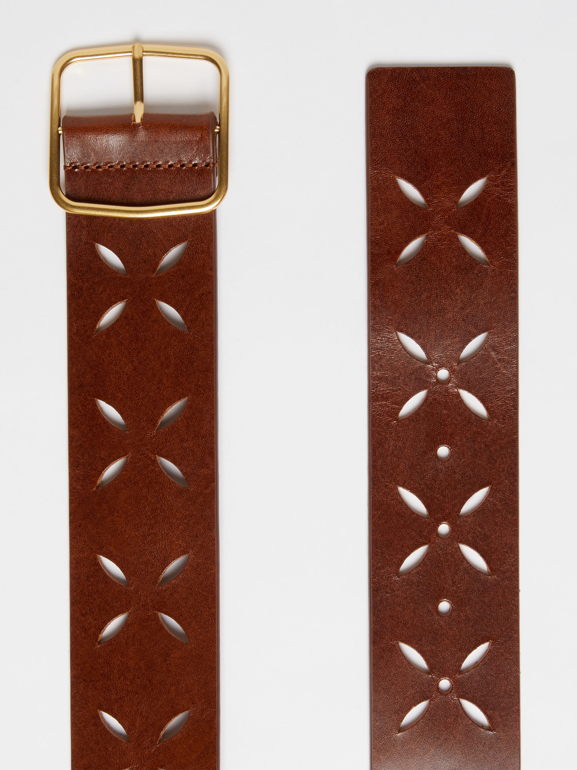 MAX MARA - Laser-cut leather belt - TOBACCO - MAX MARA SALE