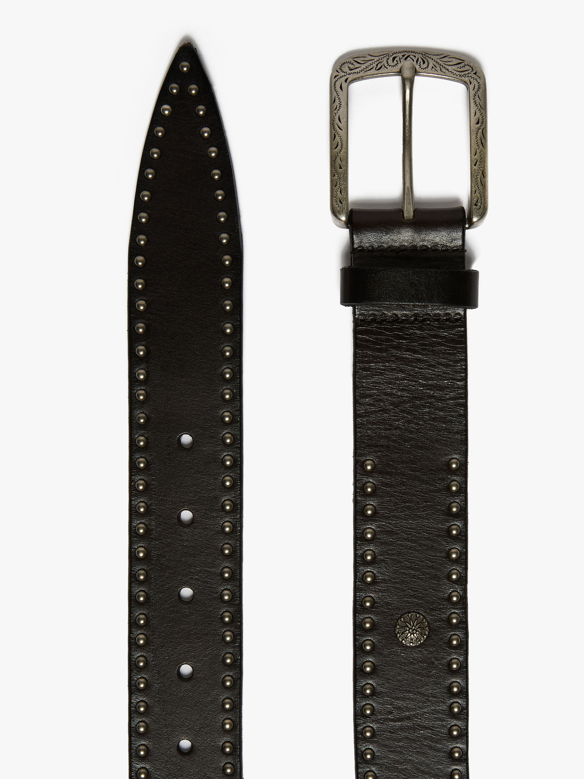 MAX MARA - Studded leather belt - DARK BROWN - MAX MARA SALE