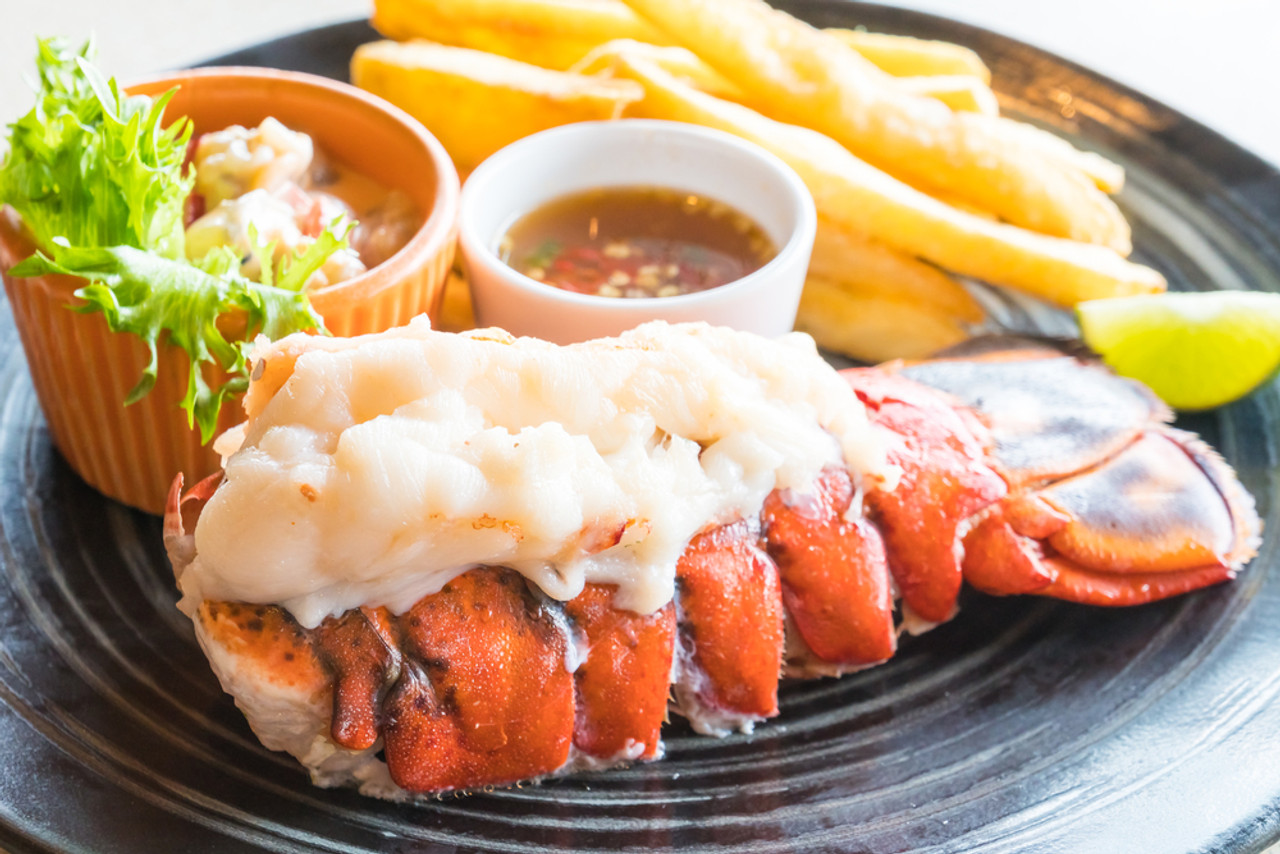North Atlantic Lobster Tail - 16-20 Ounce Tails | 4 tails