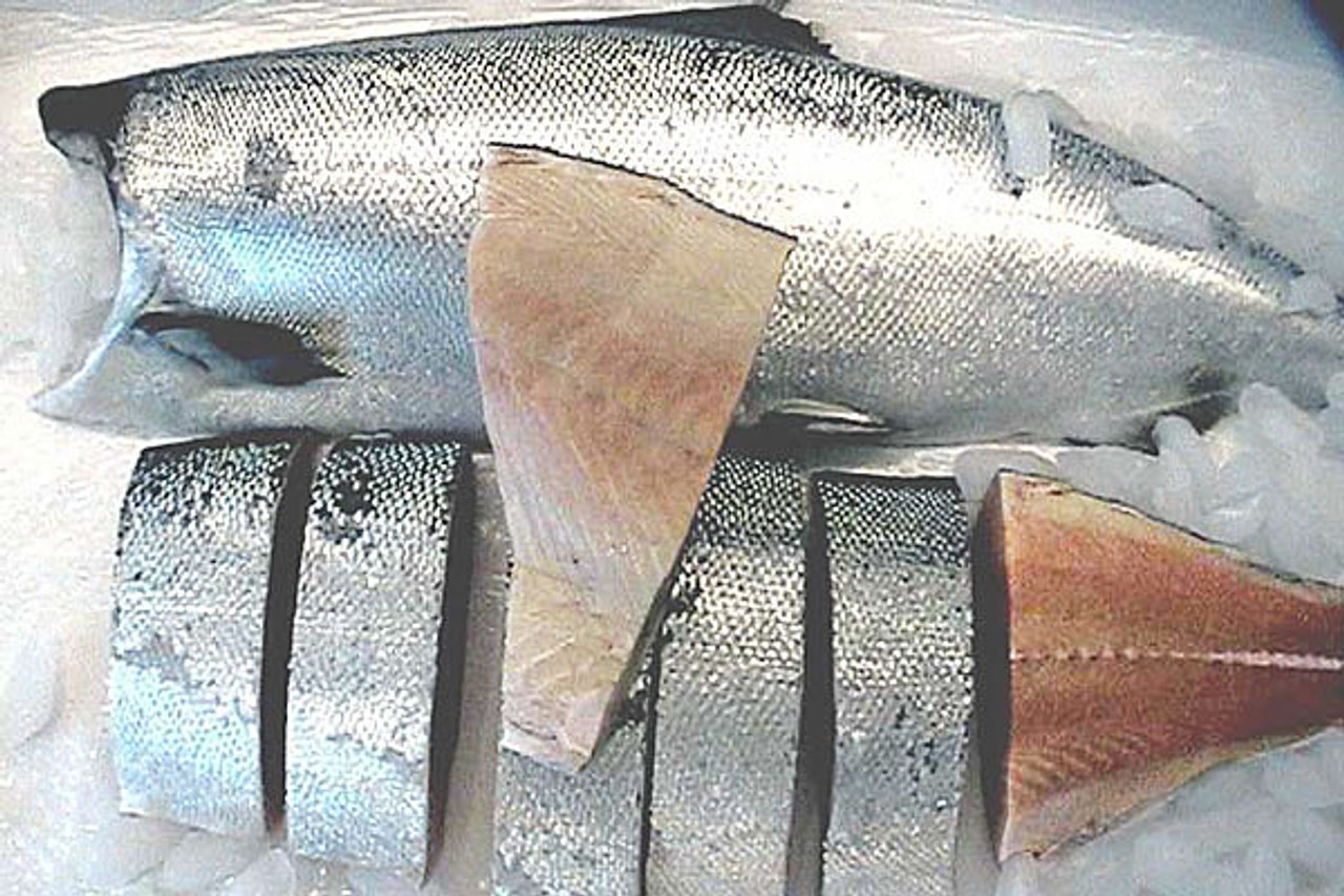H&G Whole Troll Caught White King Salmon | 8-10 lb Fish