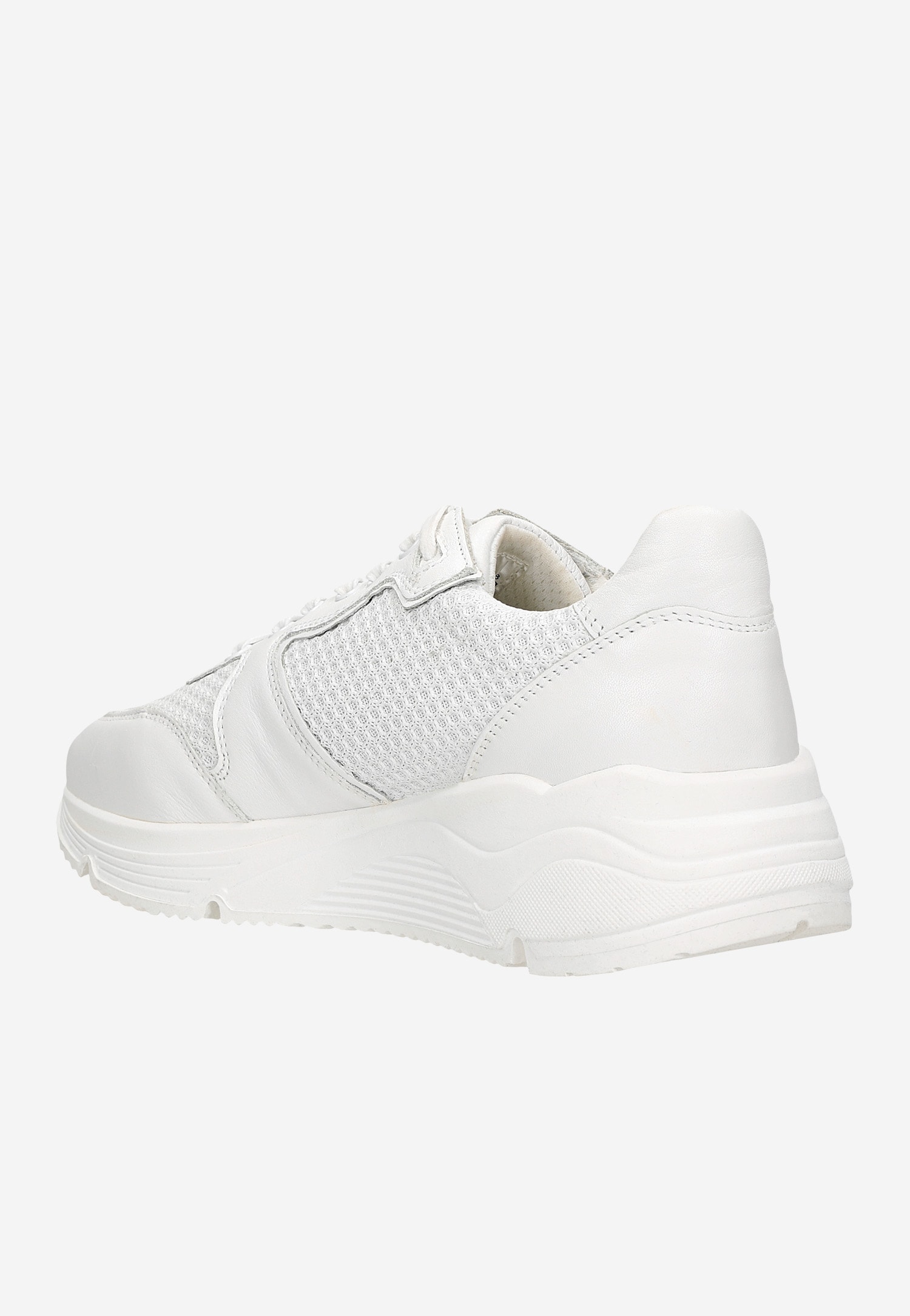 Multikolorowe półbuty - limited edition