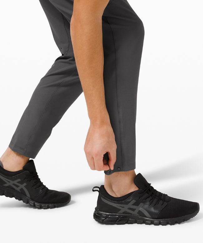 License to Train Pant