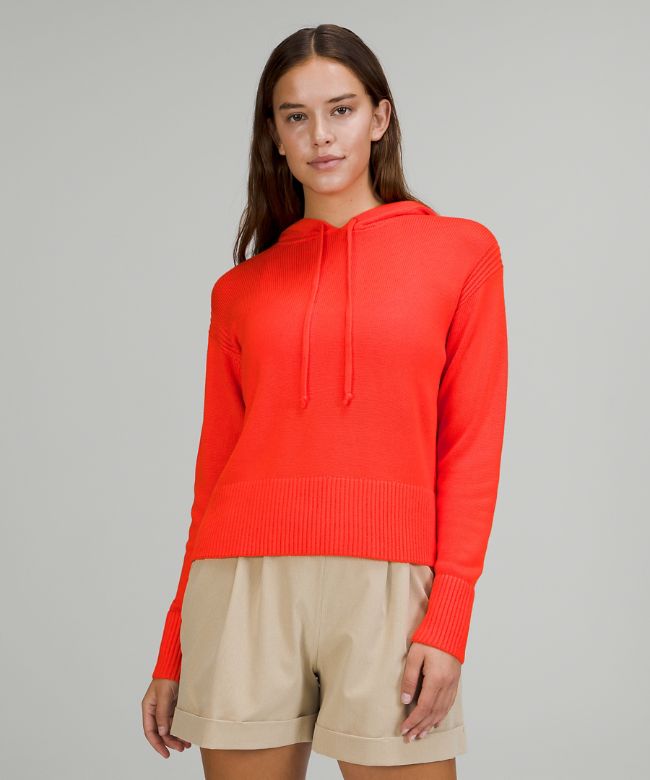 Double Knit Sweater Hoodie