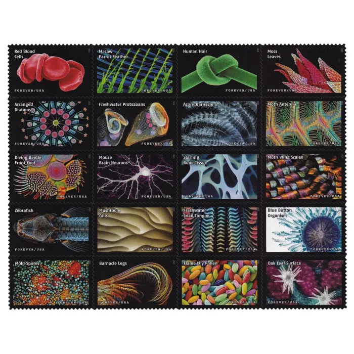 Forever Stamps 200pcs