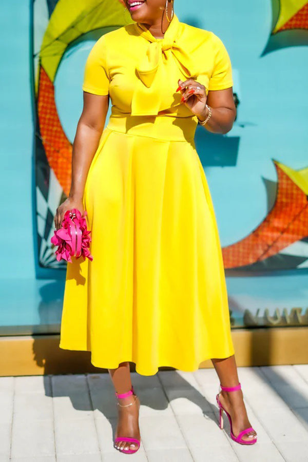 Tied Neck Short Sleeve A-line Dress