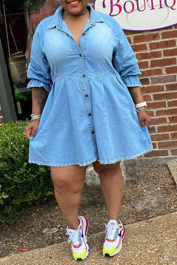 Flounce Sleeve Raw Trim Mini Denim Shirt Dress