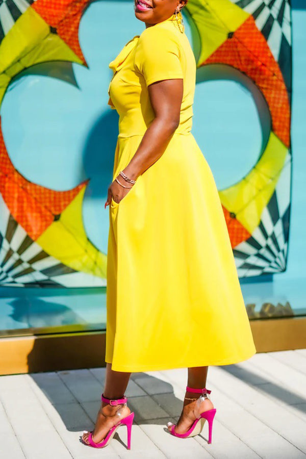 Tied Neck Short Sleeve A-line Dress