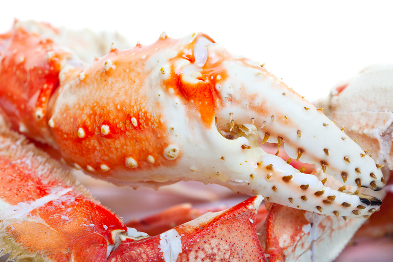 Colossal Red King Crab Claws | 8 lbs.