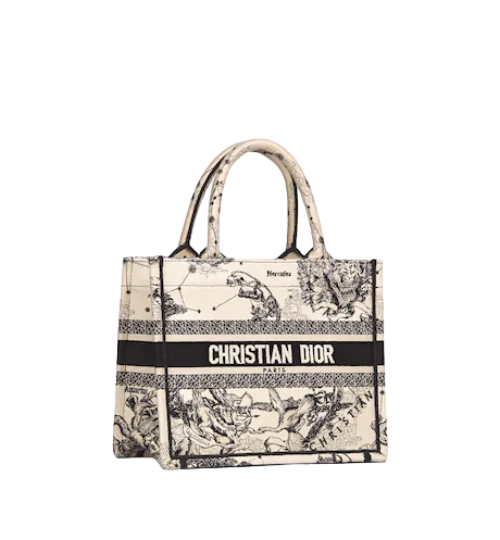 SMALL DIOR BOOK TOTE