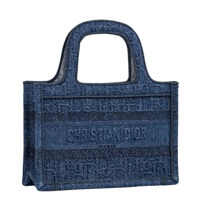 Dior Mini Book Tote Bag In Denim Blue Oblique Canvas