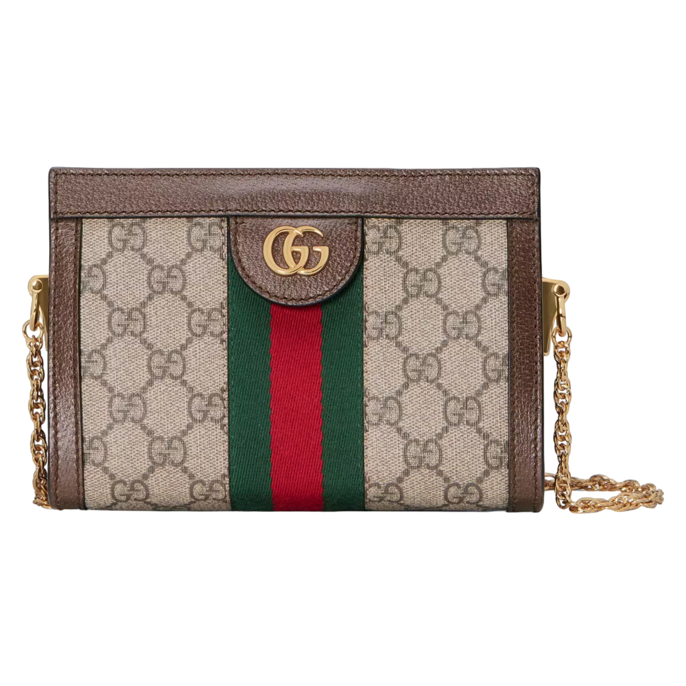 mini shoulder bag