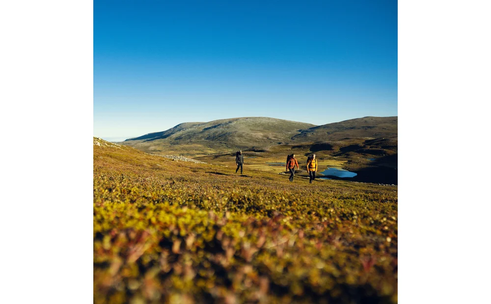 Abisko Lite Trekking Jacket M