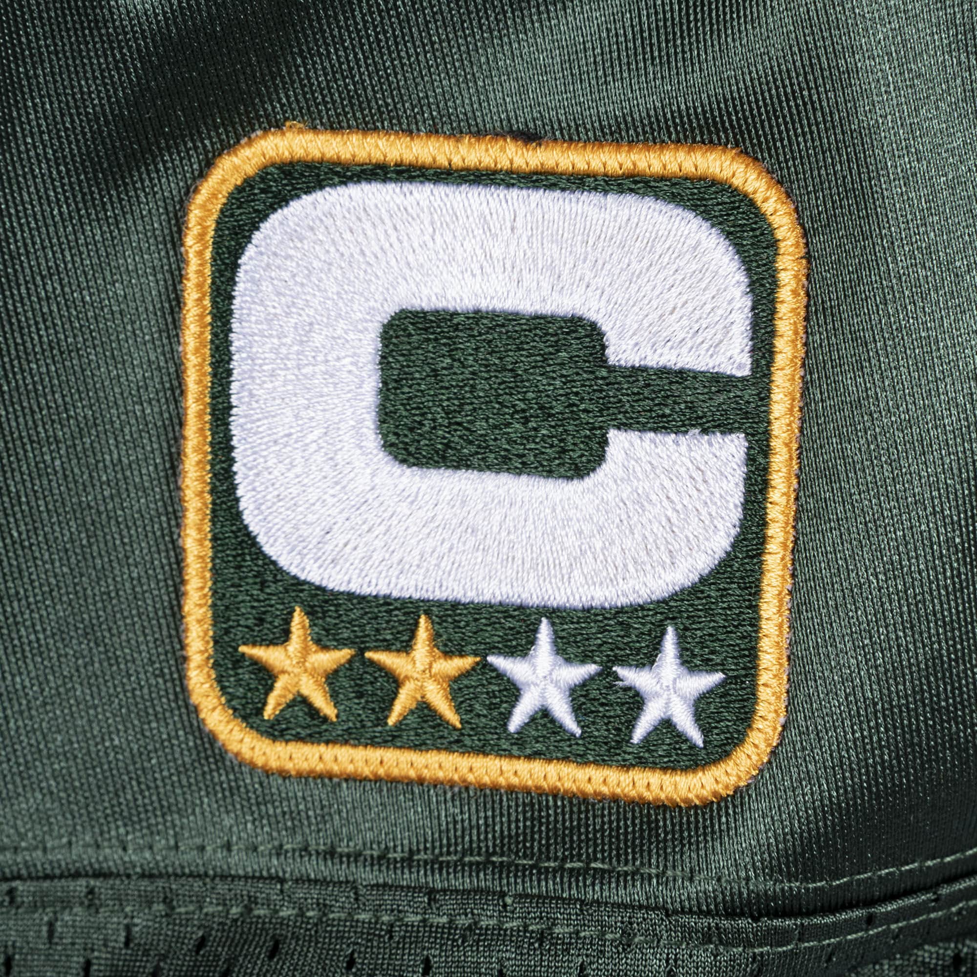 Authentic Jersey Green Bay Packers Super Bowl 2010 Charles Woodson