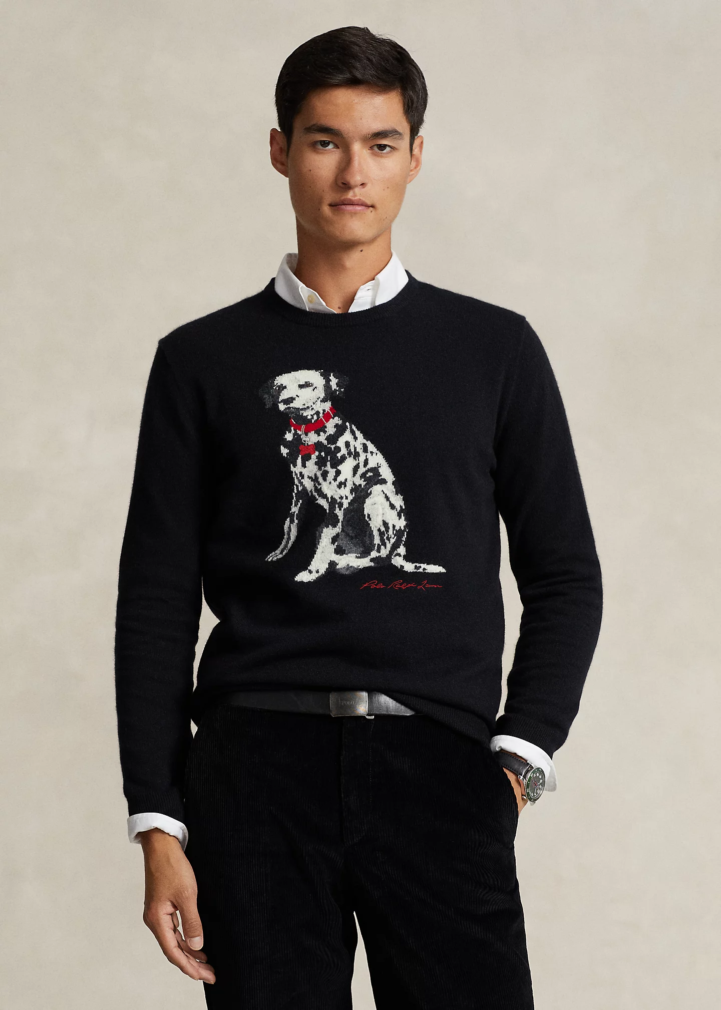 Dalmatian Intarsia-Knit Cashmere Sweater