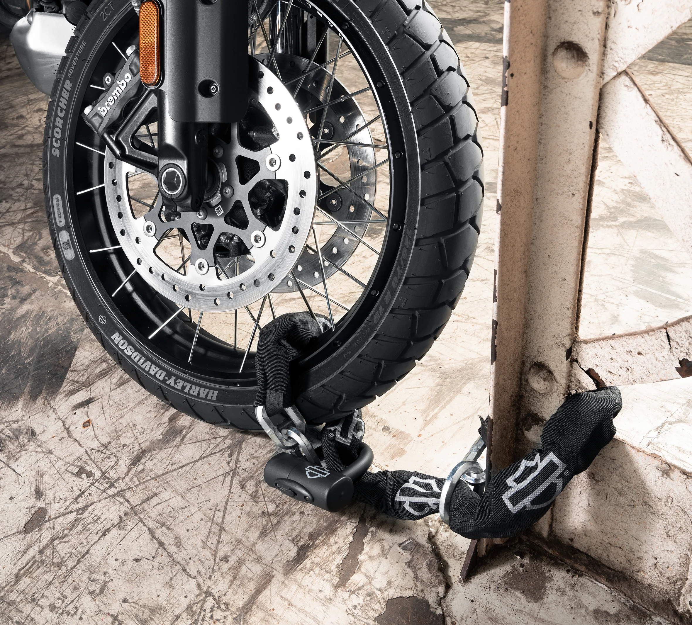 Loop Chain and Disc Brake & Rotor Lock