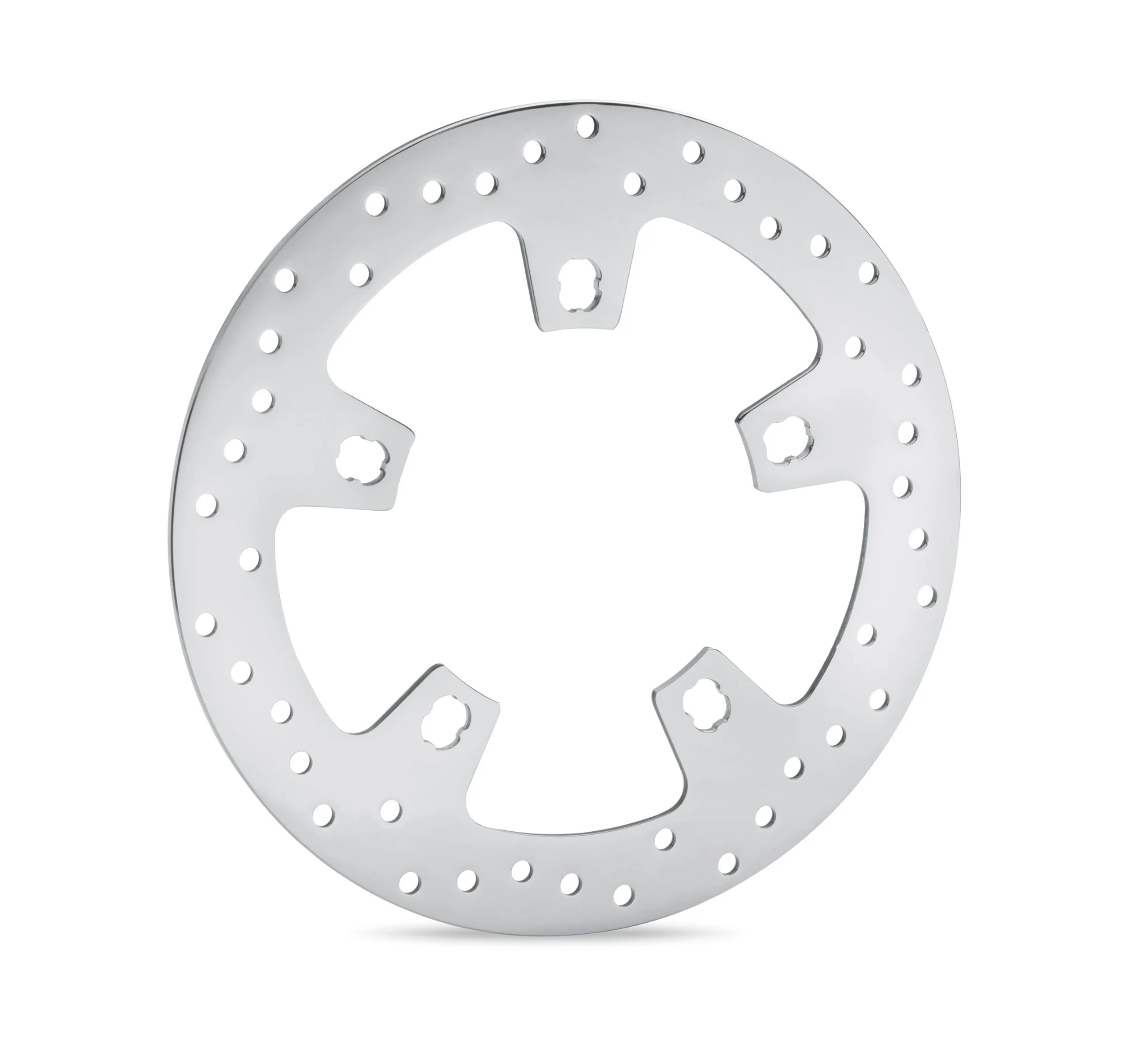 Polished Front Brake Rotor