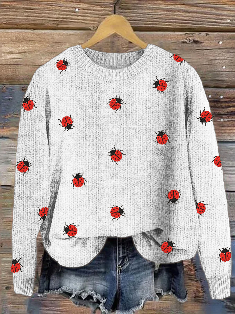 Ladybug Insect Embroidery Cozy Knit Sweater