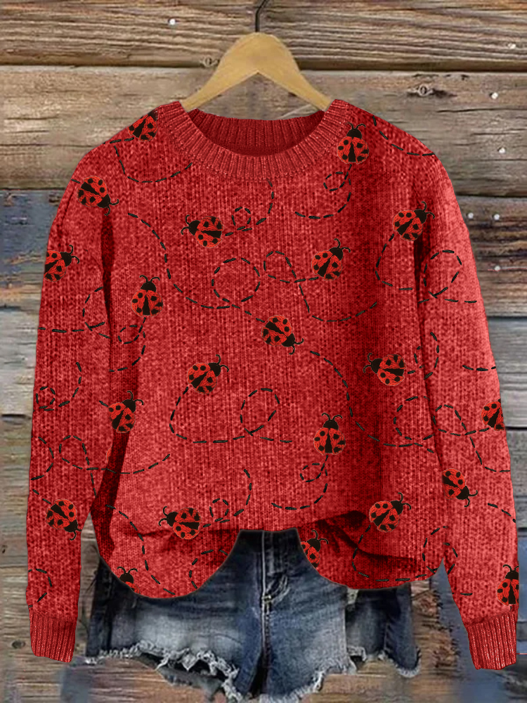 Flying Ladybugs Embroidery Pattern Cozy Knit Sweater