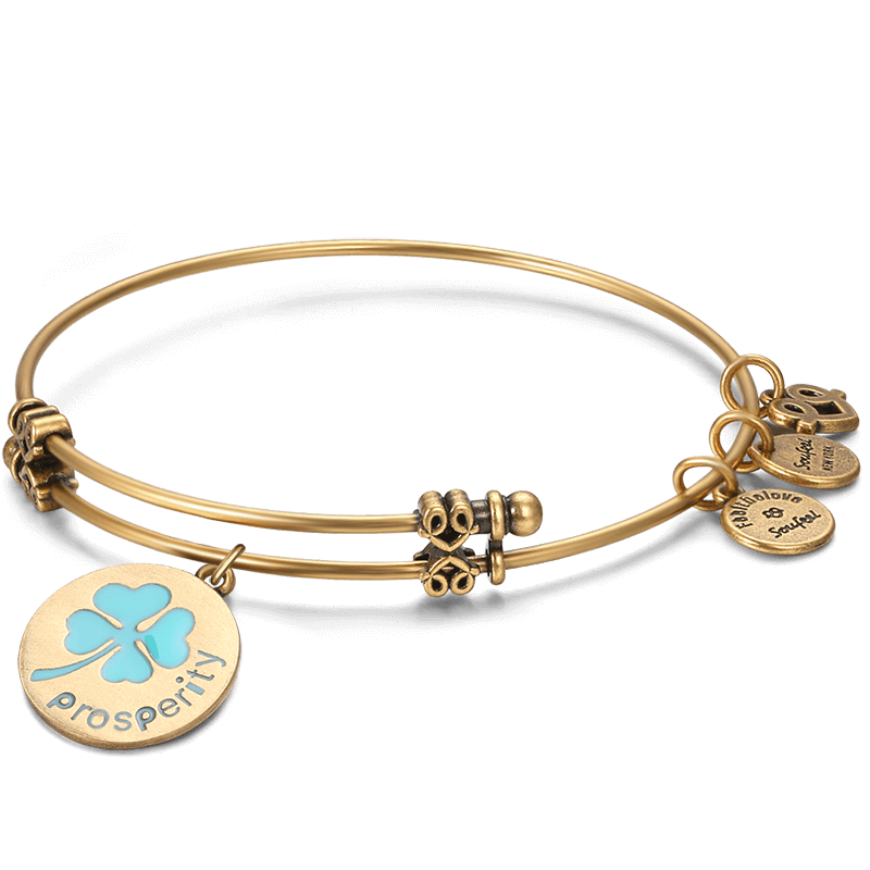 Prosperity Charm Bangle Gold Plated