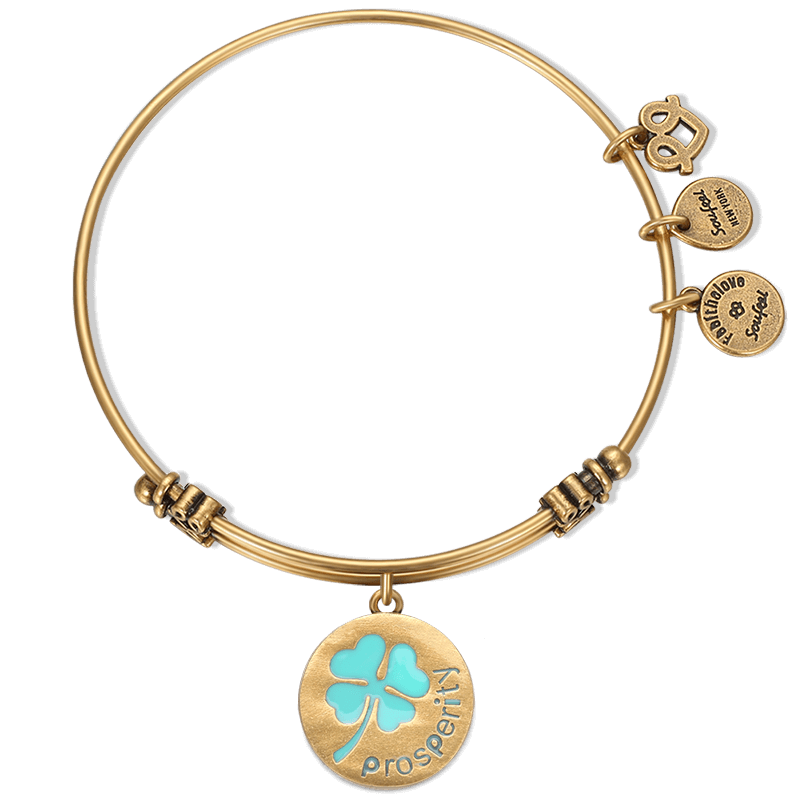 Prosperity Charm Bangle Gold Plated