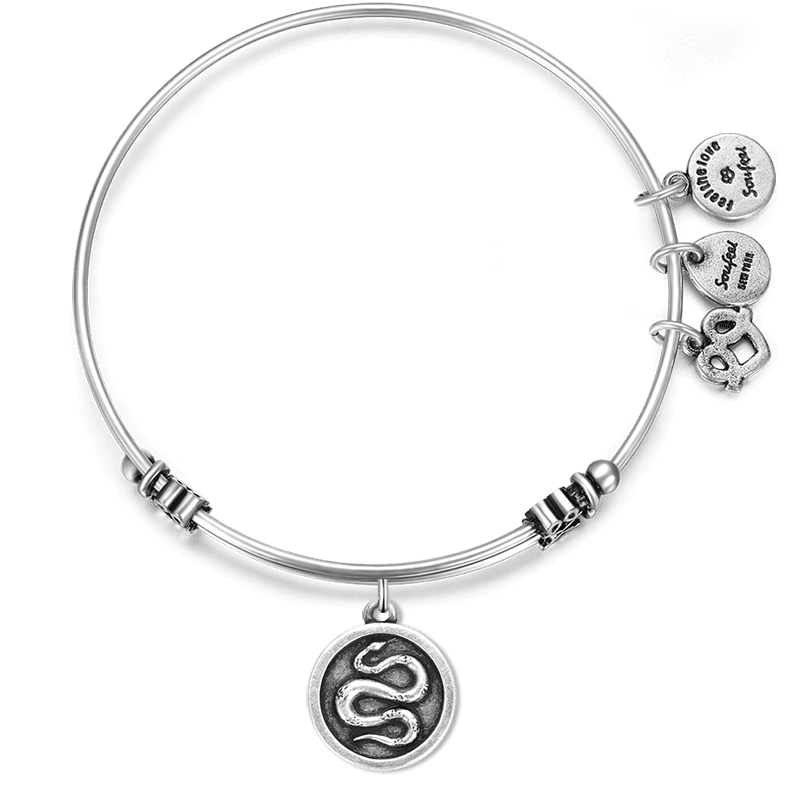 Snake Charm Bangle