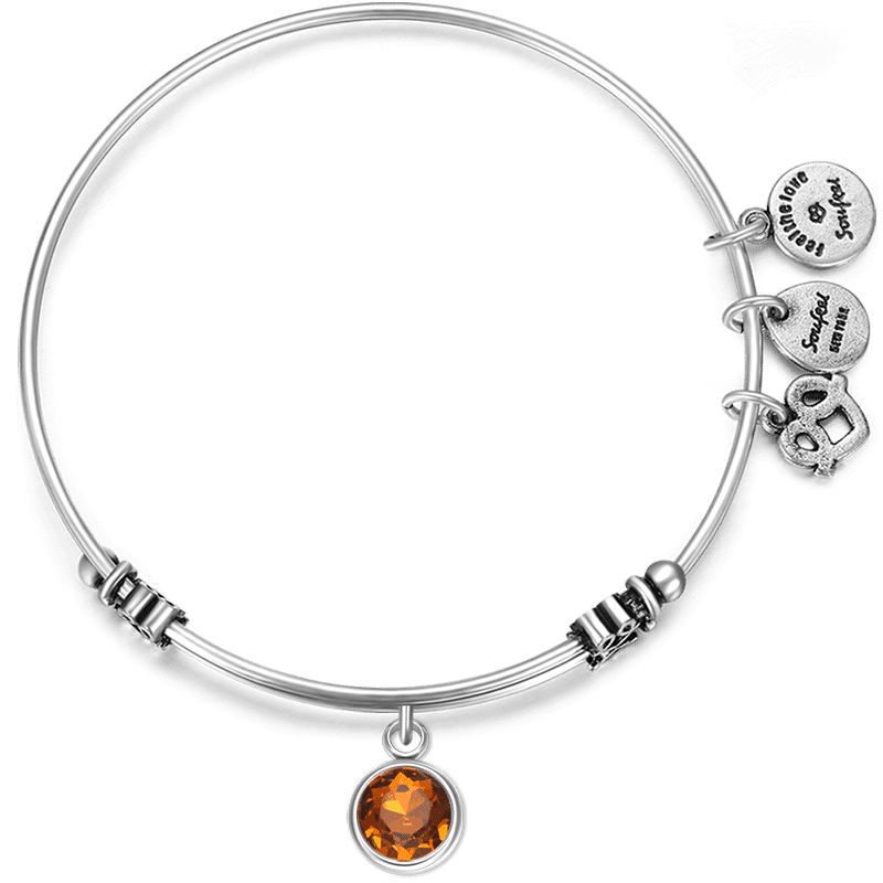 November Birthstone Charm Bangle