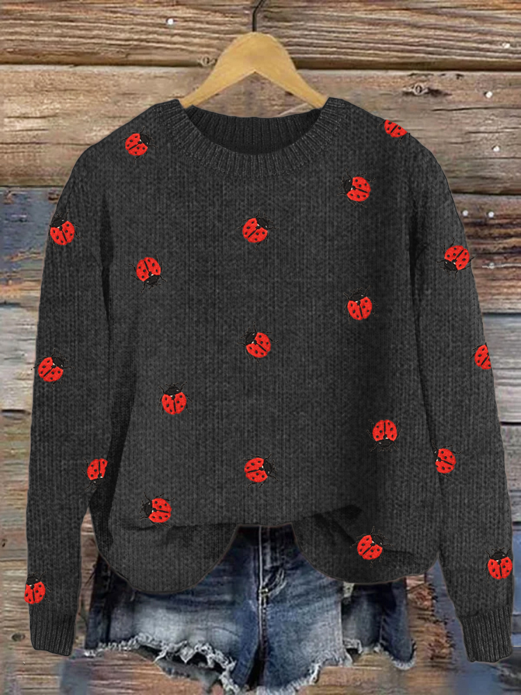 Ladybug Insect Embroidery Cozy Knit Sweater