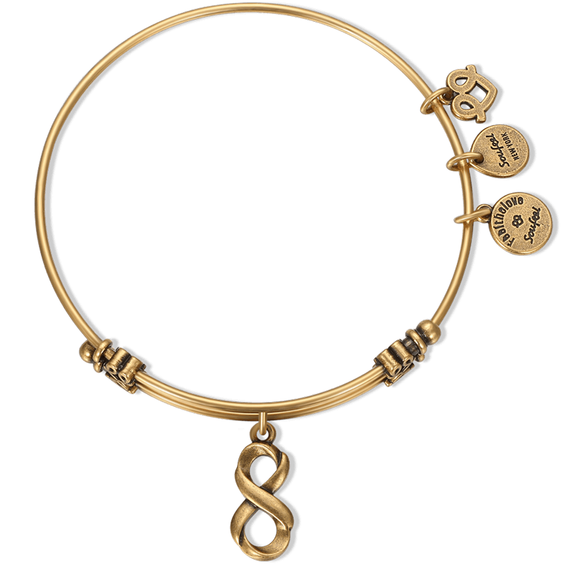 Infinity Love Charm Bangle