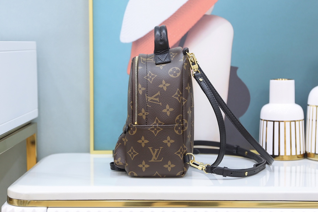 Louis Vuitton 𝐏𝐀𝐋𝐌 𝐒𝐏𝐑𝐈𝐍𝐆𝐒mini backpack🎒M44873