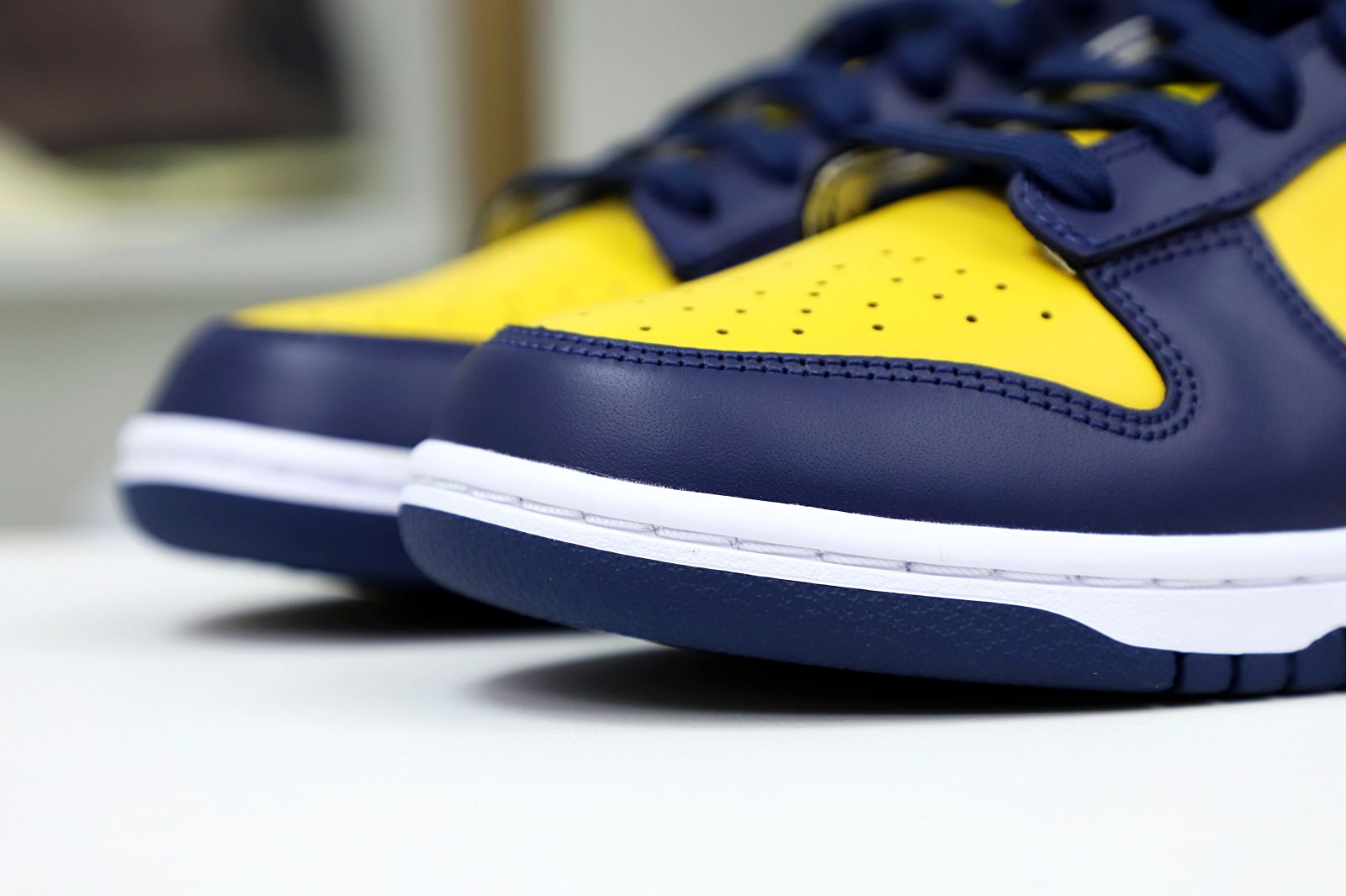 DUNK LOW MICHIGAN 2021