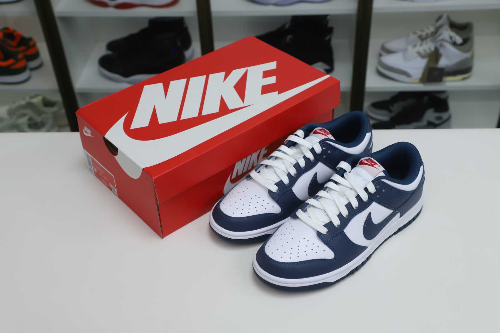 Nike Dunk Low Retro Valerian Blue