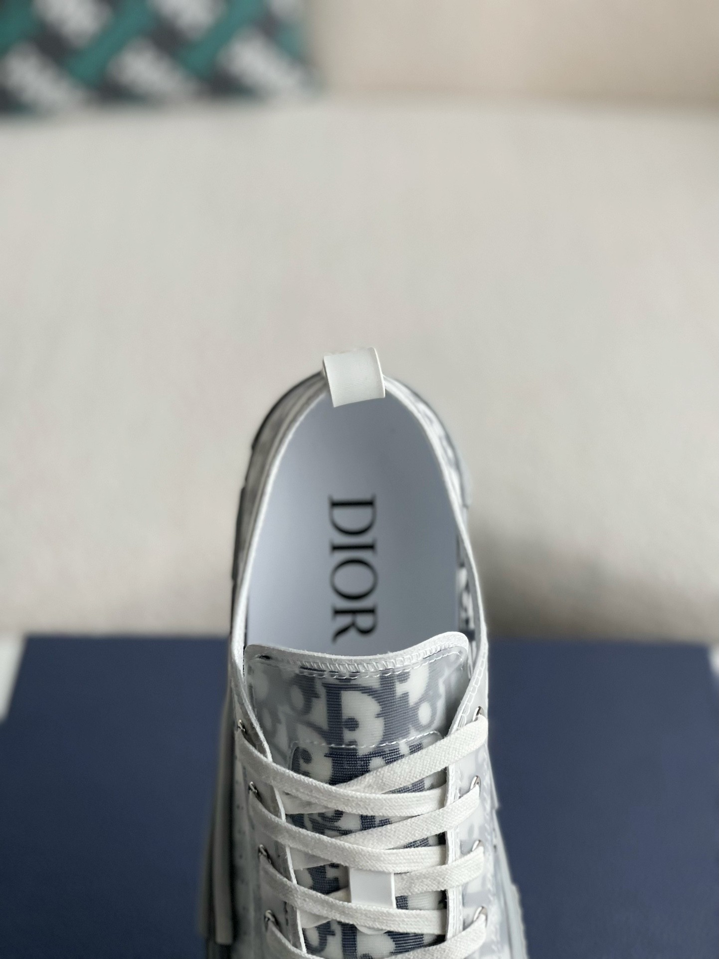 Dior B23 low Sneaker