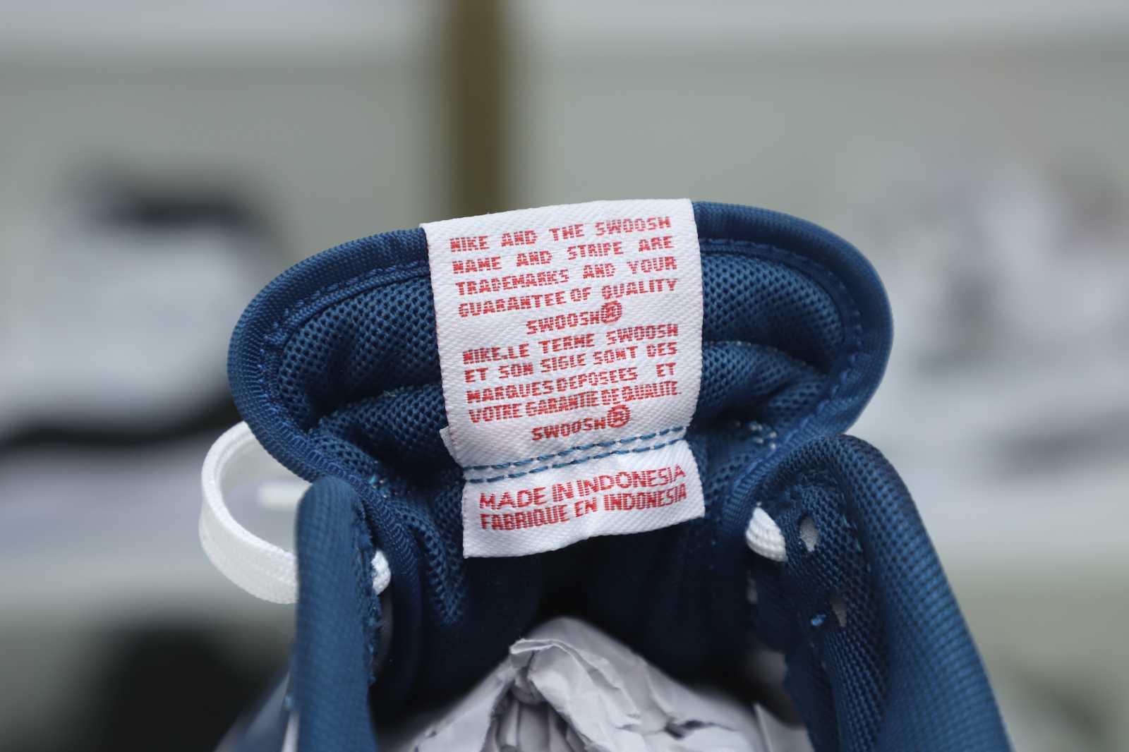 Nike Dunk Low Retro Valerian Blue