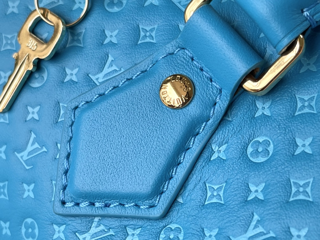 𝐋𝐎𝐔𝐈𝐒 𝐕𝐔𝐈𝐓𝐓𝐎𝐍    M22596