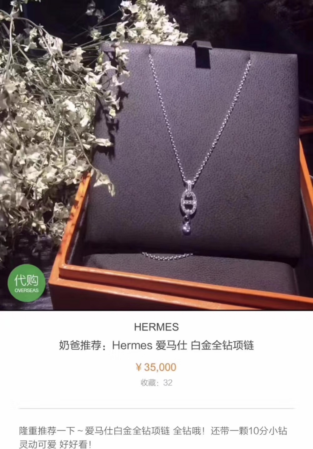 Hermes necklace