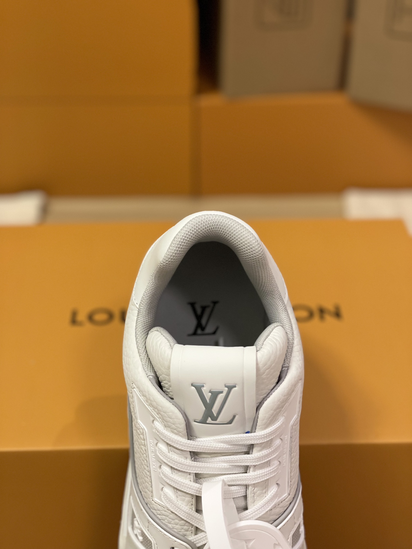 Louis Vuitton Trainer Couples Style FD0261
