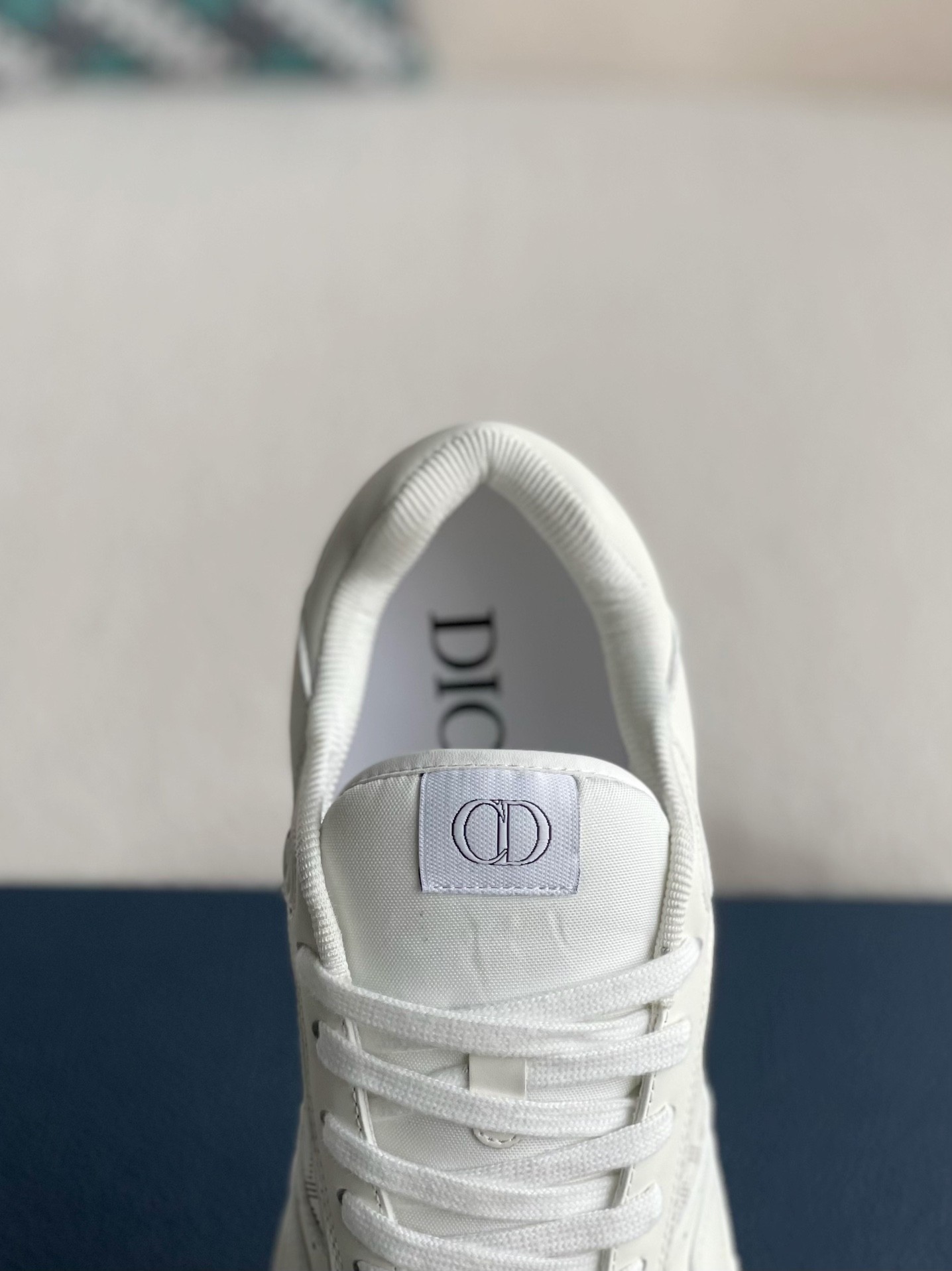 DIOR HIGH LEVEL B27 Sneaker