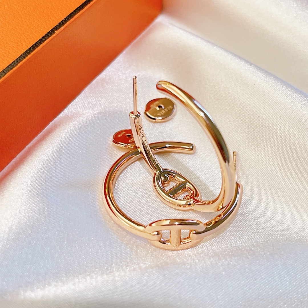 Hermes Earrings